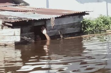Banjir Besar Kalimantan Adalah Teguran Keras Kepada Pengelola Negara Ini