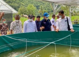 Untuk Kesejahteraan Masyarakat Pembudidaya Ikan, Andi Akmal Pasluddin Salurkan Bantuan Sistem Bioflok Pada Pembudidaya Ikan Nila