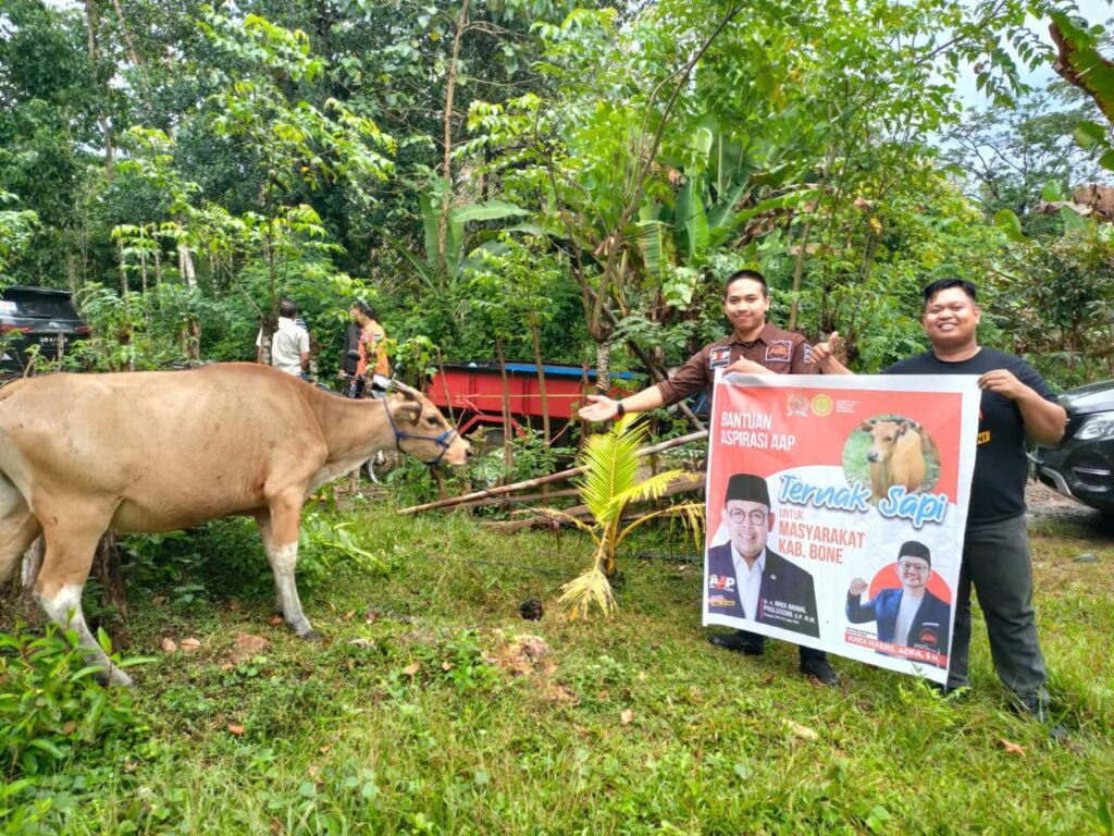 Andi Akmal Pasluddin Serahkan Bantuan Ternak Sapi Ke Sejumlah Peternak di Kecamatan Mere Kabupaten Bone